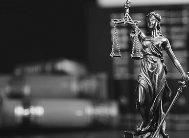 Immigration Cases